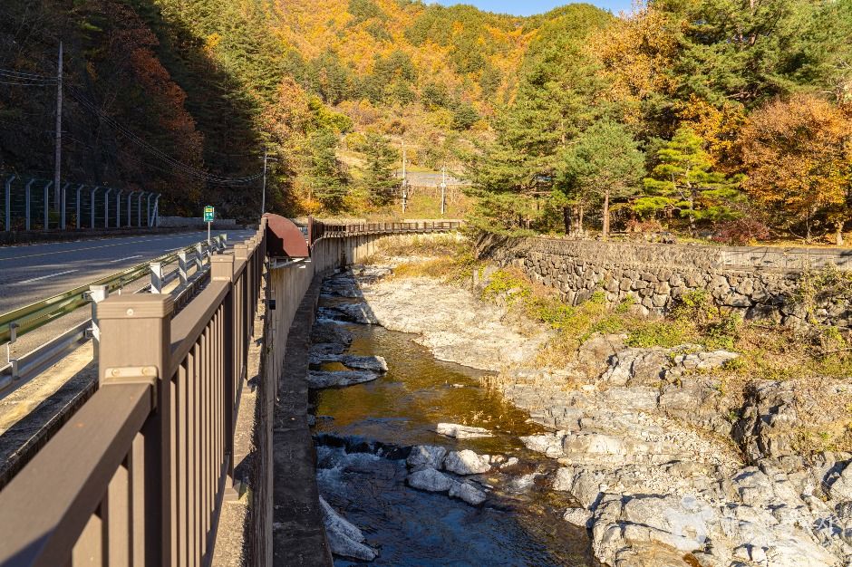 삼척_동활계곡 (7)