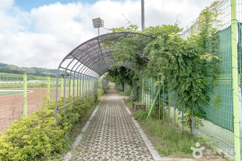 둔내종합체육공원 (15)