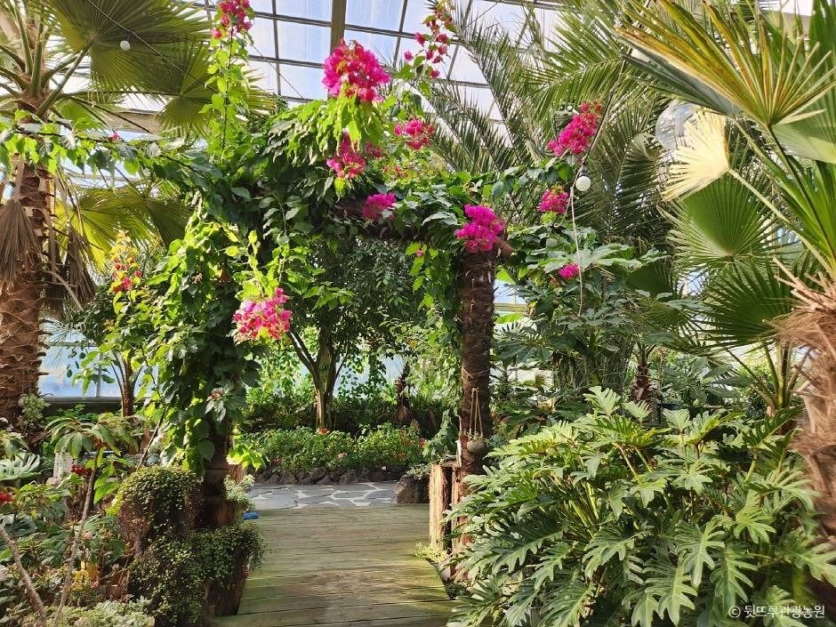 강릉_뒷뜨루관광농원 (2)