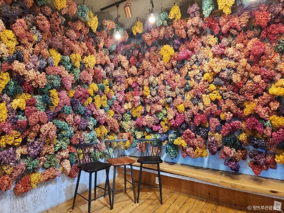 강릉_뒷뜨루관광농원 (4)