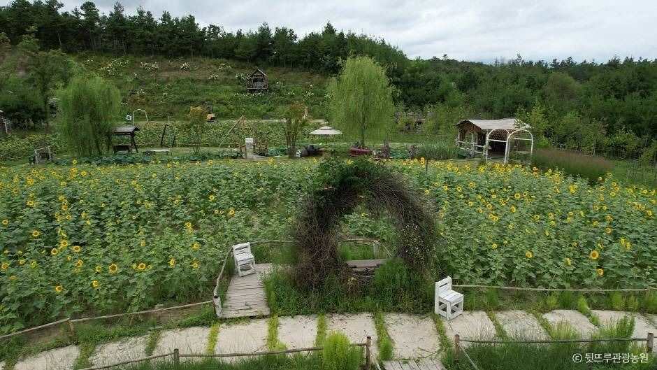 강릉_뒷뜨루관광농원 (5)