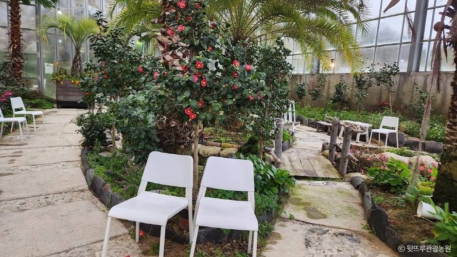 강릉_뒷뜨루관광농원 (6)