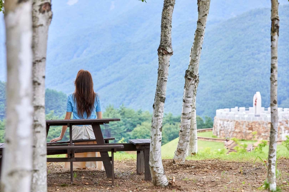 정선_로미지안 가든 (2)