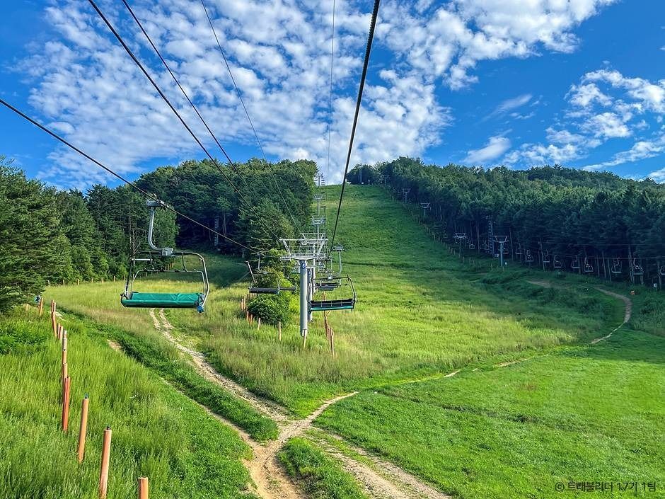 강원 평창 가볼만한곳_마운틴코스터_2-3