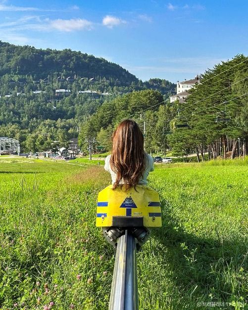 강원 평창 가볼만한곳_마운틴코스터_2-5