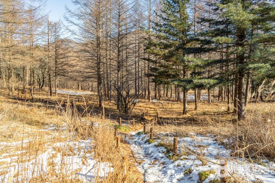 정선_만항재 (3)