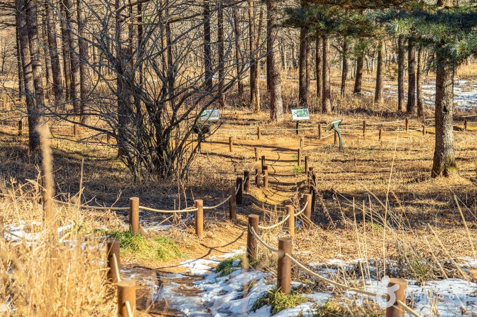 정선_만항재 (4)