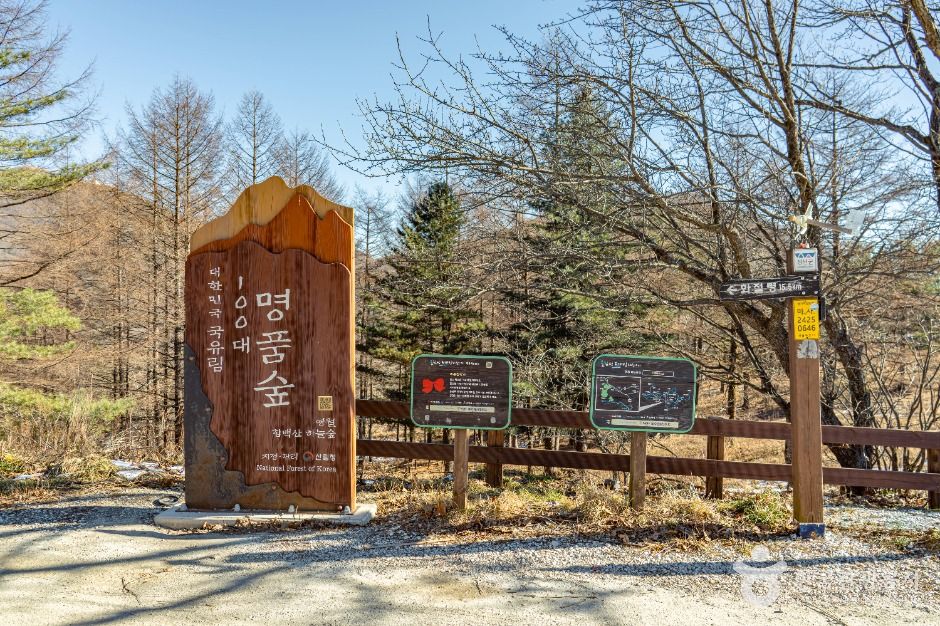 정선_만항재 (2)