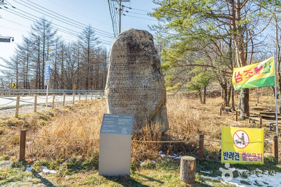 정선_만항재 (6)