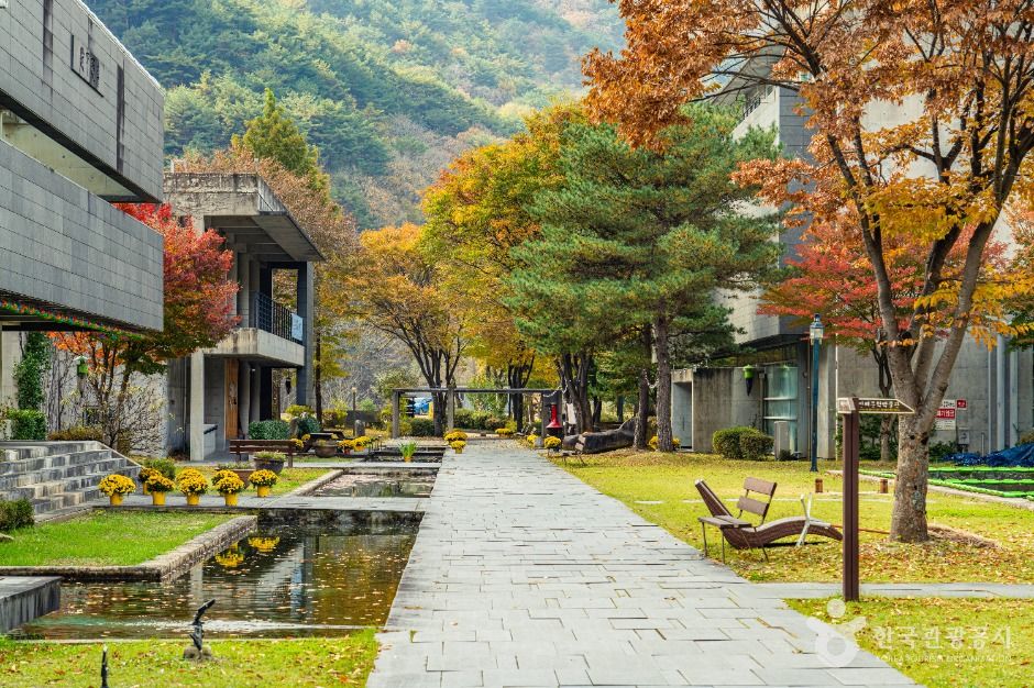 인제_만해마을 (7)