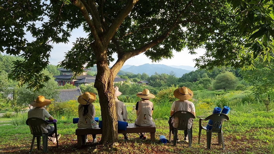 망경산사 (템플스테이) 2