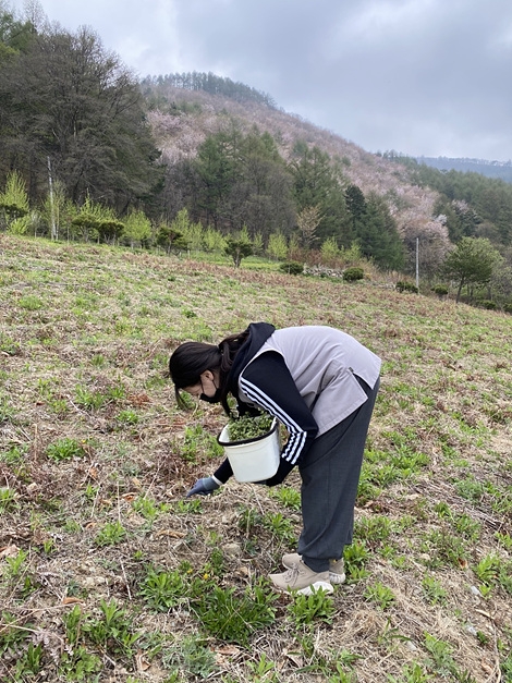 망경산사 (템플스테이) 3