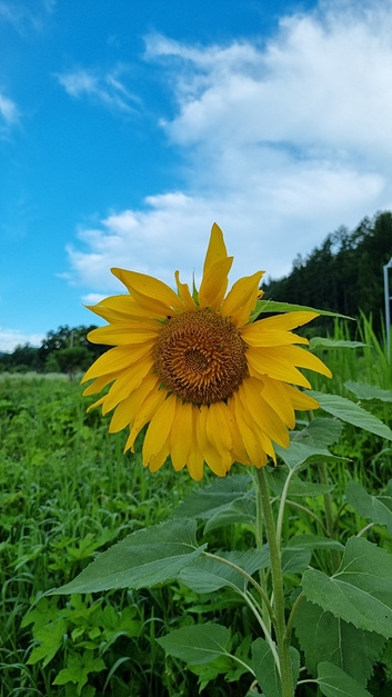 망경산사 (템플스테이) 8