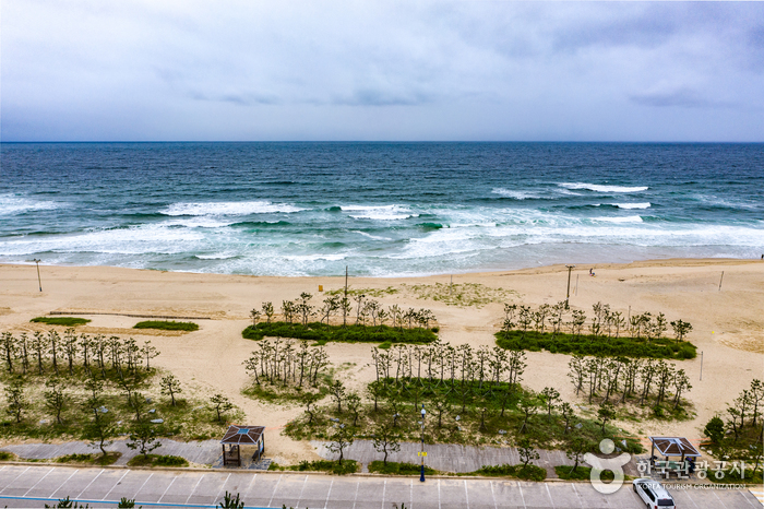 강원_동해_망상해변02