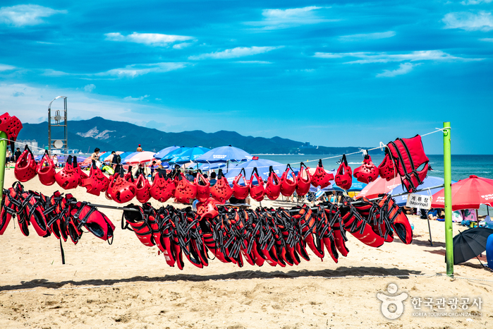 강원_동해_망상해변07