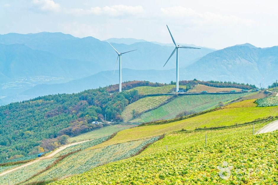 태백_매봉산풍력발전단지(바람의 언덕) (3)