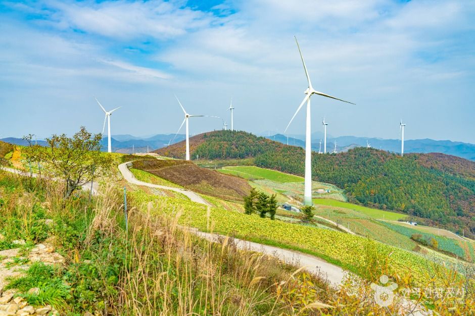 태백_매봉산풍력발전단지(바람의 언덕) (4)