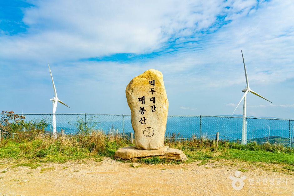 태백_매봉산풍력발전단지(바람의 언덕) (5)