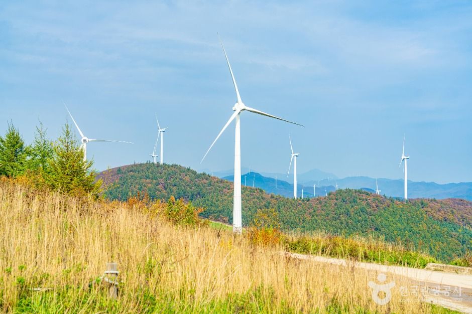 태백_매봉산풍력발전단지(바람의 언덕) (6)