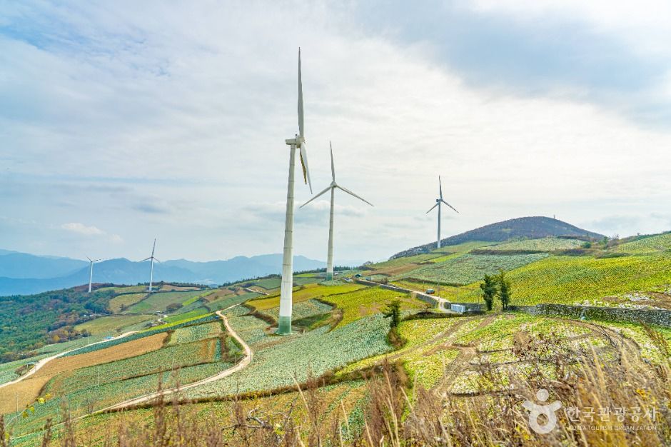 태백_매봉산풍력발전단지(바람의 언덕) (7)