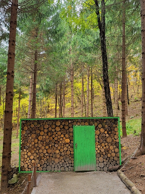 용평리조트 (12)