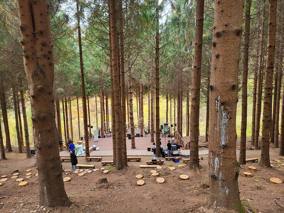 용평리조트 (15)