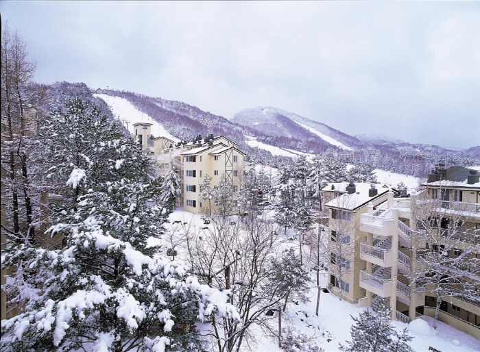 용평리조트 빌라콘도 1