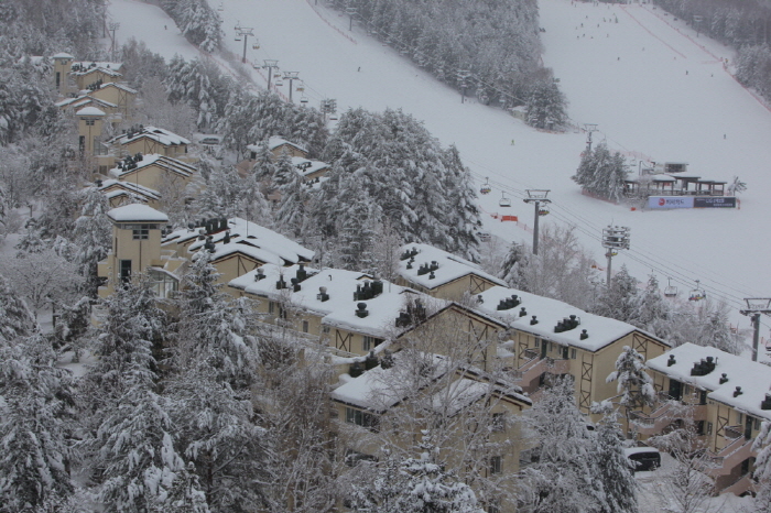 용평리조트 빌라콘도 2