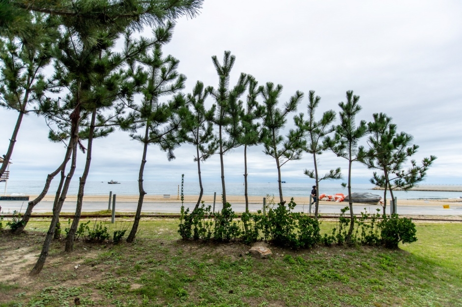 모래시계공원_6