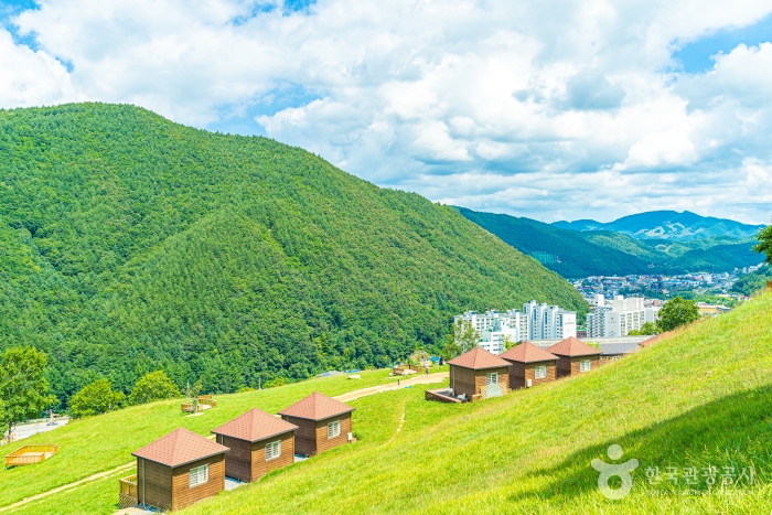 열대야는 없고 별은 있다!