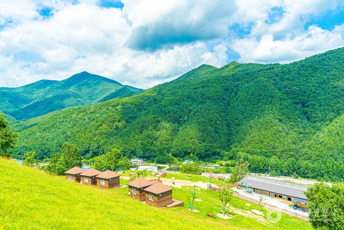 열대야는 없고 별은 있다!