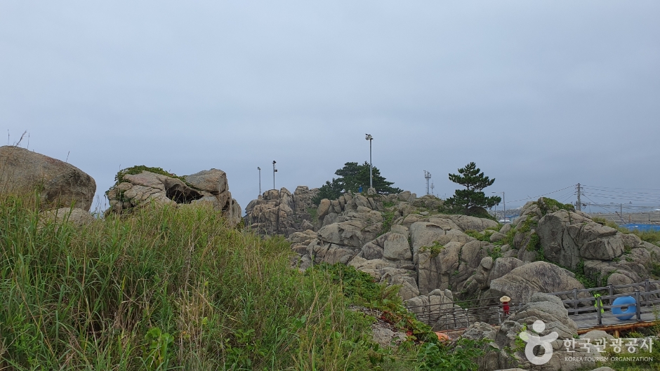 문암2리해변 (4)