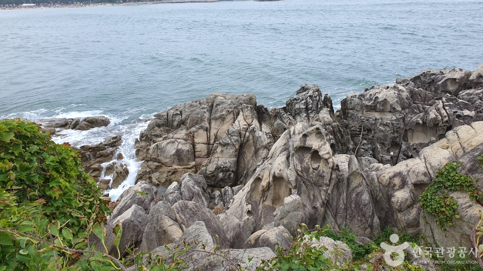 문암2리해변 (8)