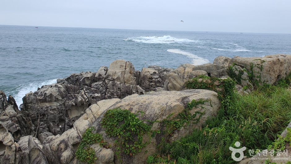 문암2리해변 (9)