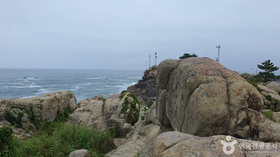 문암2리해변 (10)