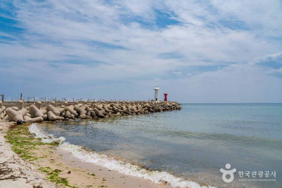 양양_물치해수욕장 (4)