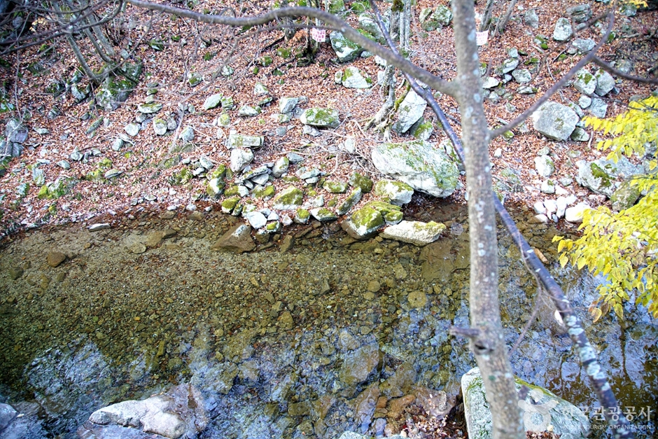 미시령계곡 (5)