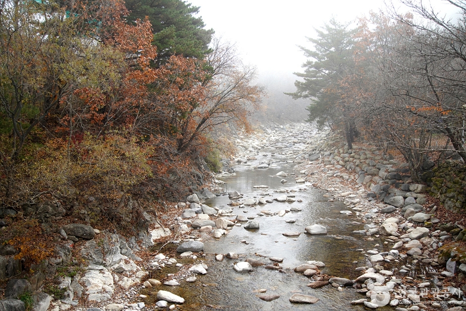 미시령계곡 (17)