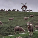 의야지 바람마을 하늘체험장