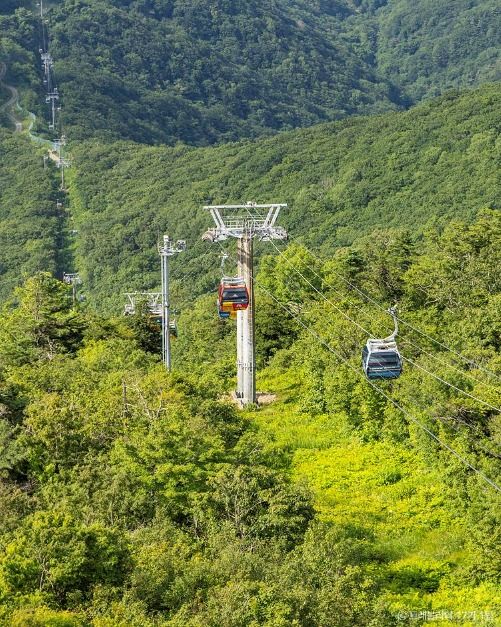 강원 평창 가볼만한곳 발왕산 관광케이블카, 모나파크 용평리조트 마운틴코스터, 평창동계올림픽대회 기념관 (3)