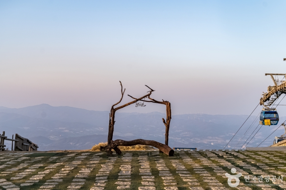 발왕산 기 스카이워크 (6)