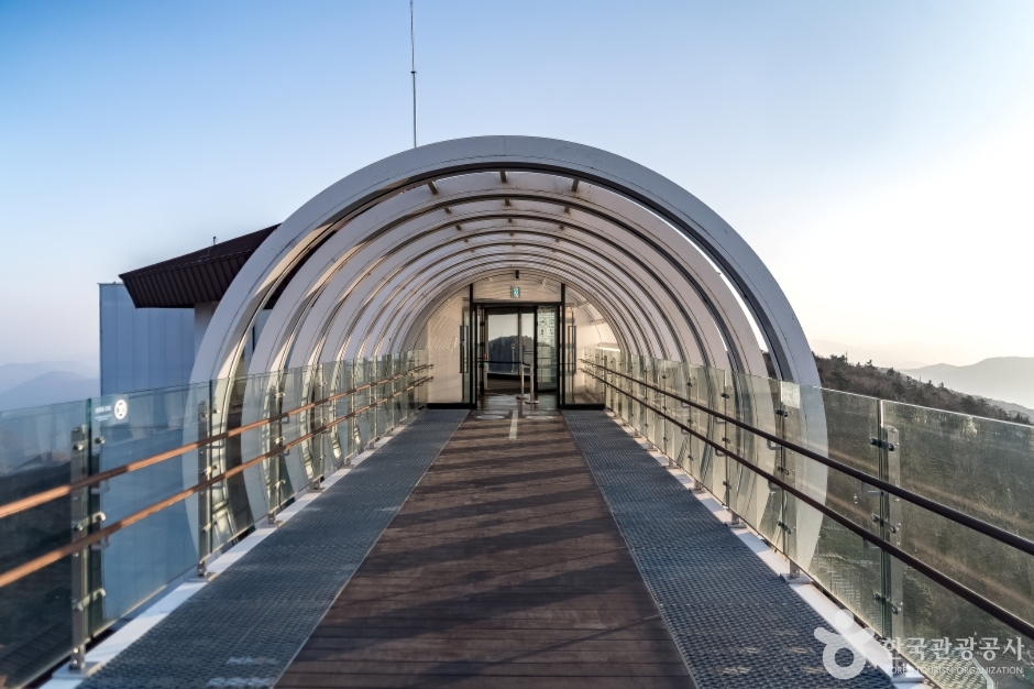 발왕산 기 스카이워크 (15)