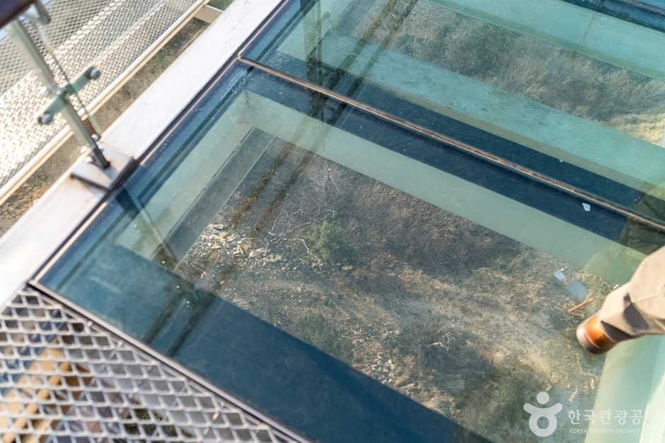 발왕산 기 스카이워크 (18)