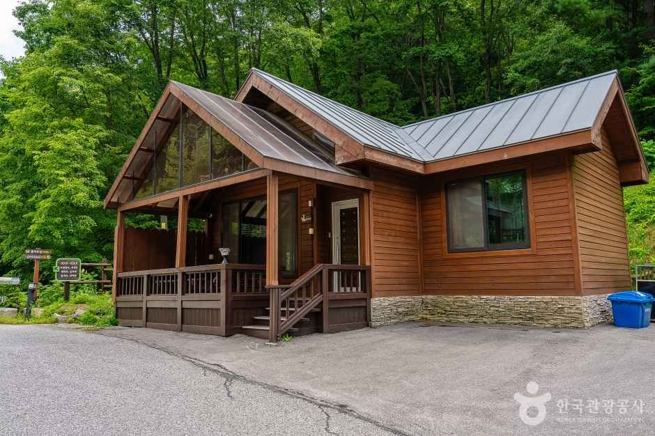 백두대간생태수목원