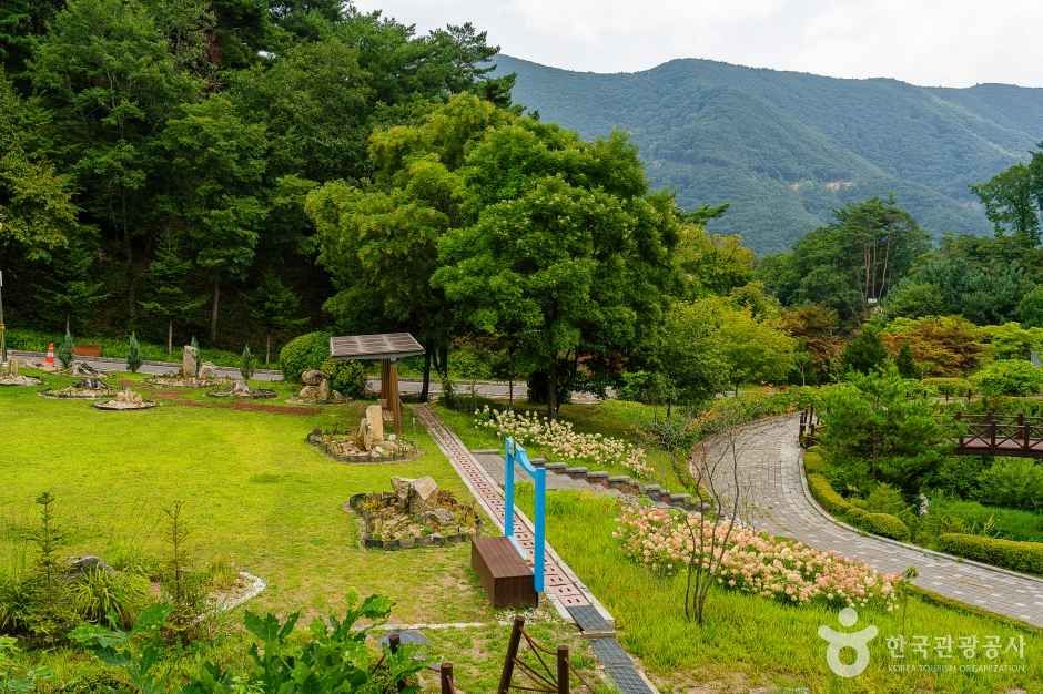 백두대간생태수목원