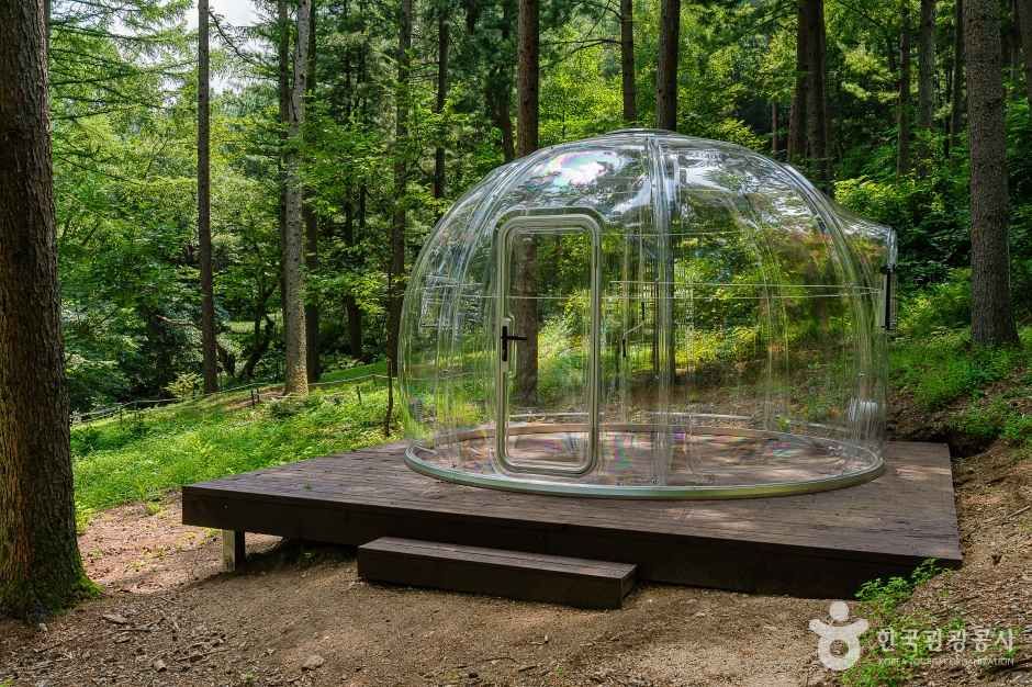 백두대간생태수목원