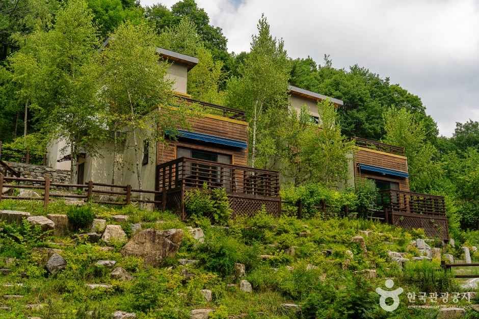 백두대간생태수목원