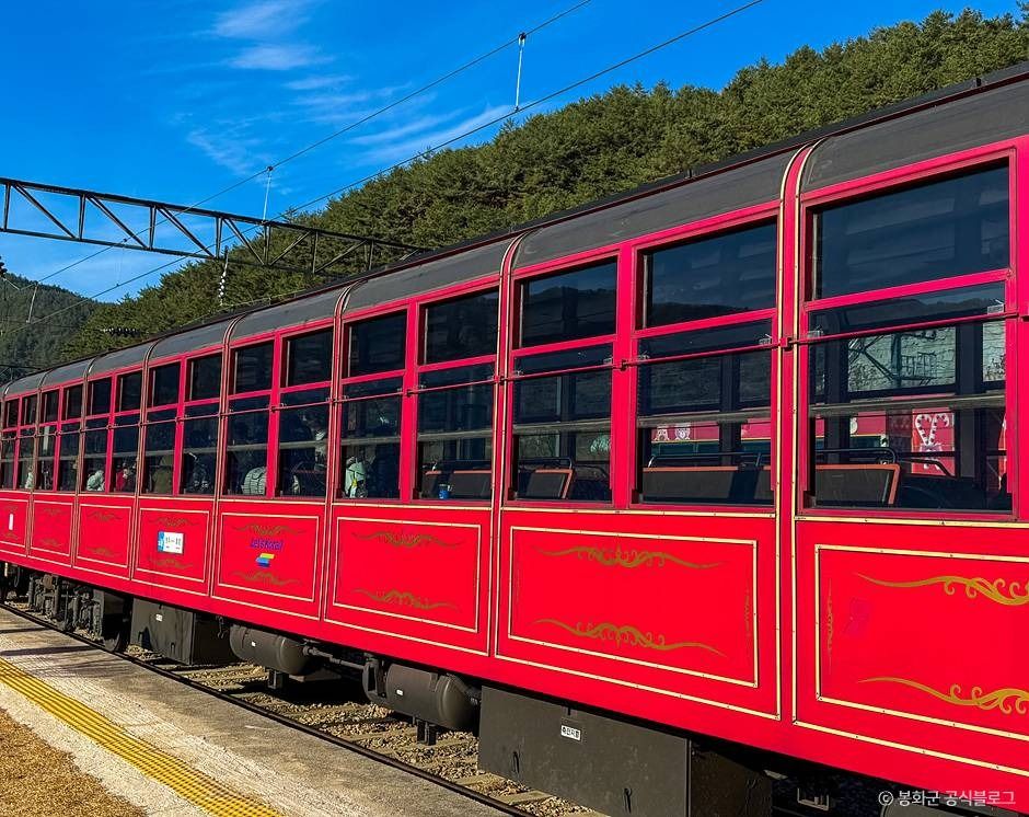 태백_백두대간협곡열차(V-트레인) (2)