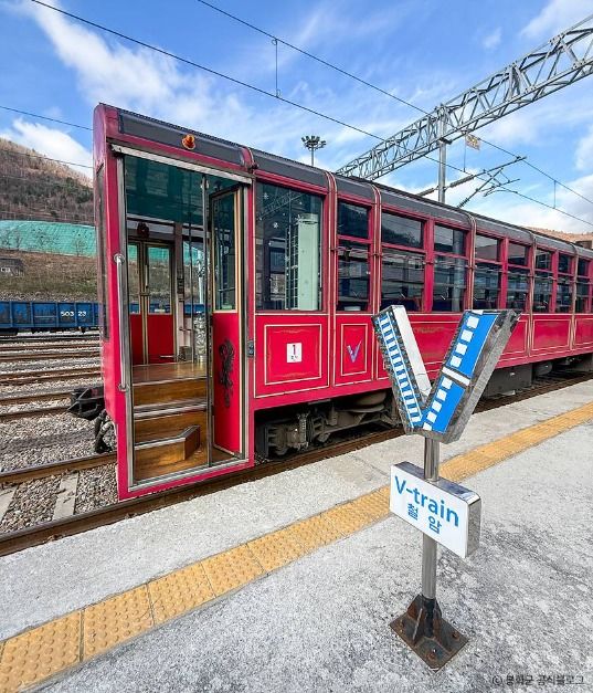 태백_백두대간협곡열차(V-트레인) (5)