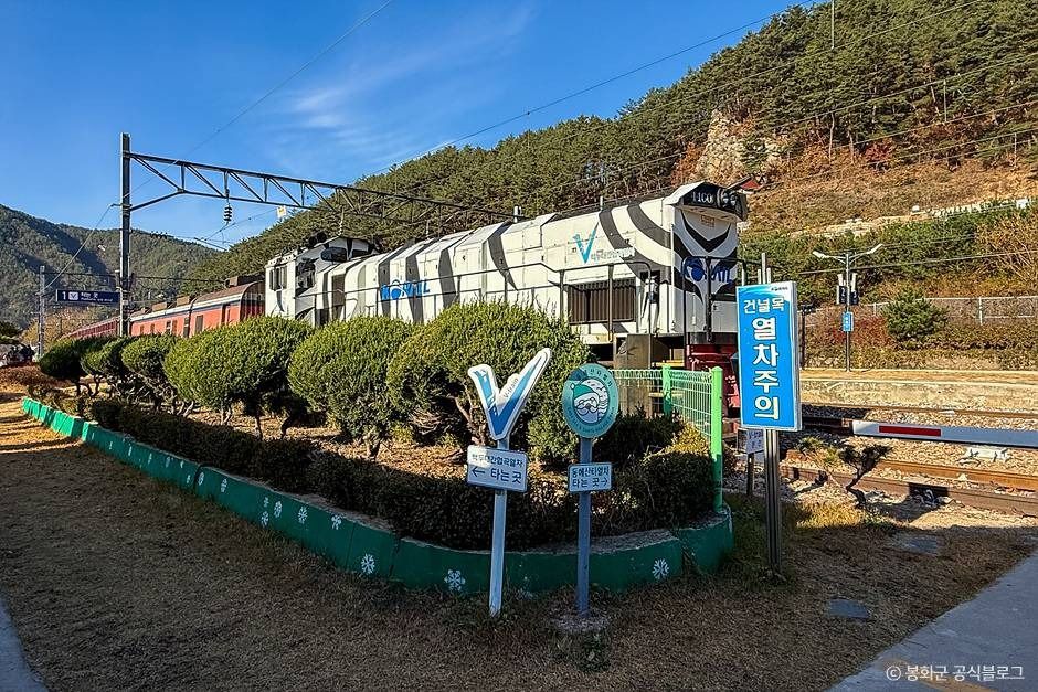 태백_백두대간협곡열차(V-트레인) (6)